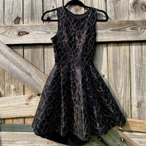 Issue New York Black Fit and Flare Cocktail Dress